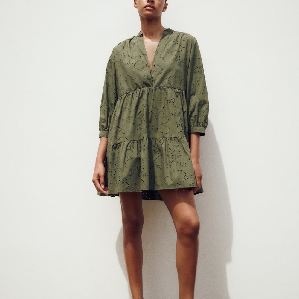Zara Openwork Embroidered Mini Dress